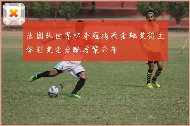 法国队世界杯夺冠梅西金靴奖得主体彩奖金分配方案公布