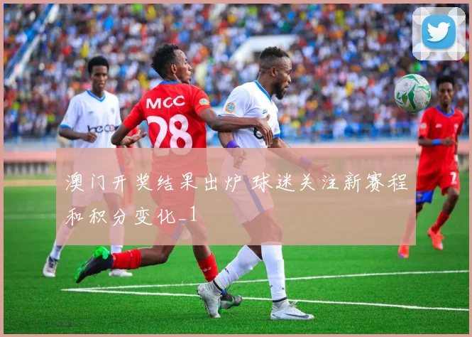 澳门开奖结果出炉 球迷关注新赛程和积分变化_1