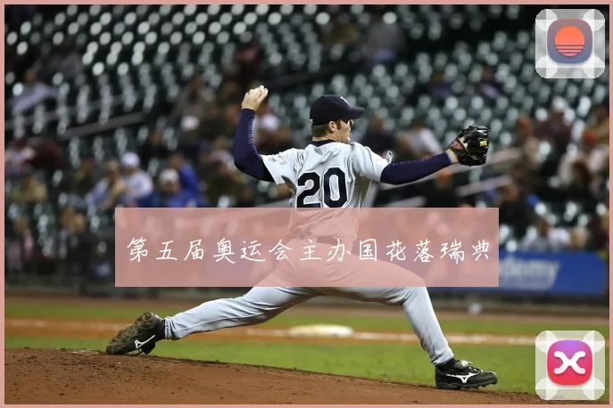 第五届奥运会主办国花落瑞典