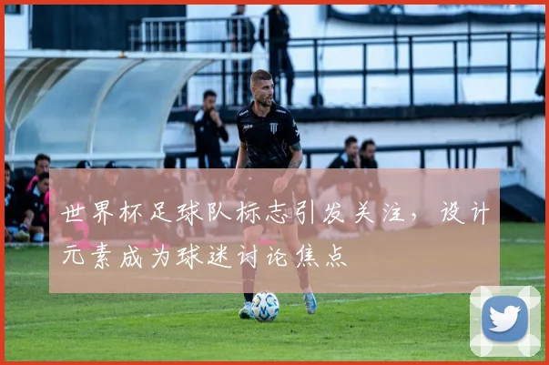 世界杯足球队标志引发关注，设计元素成为球迷讨论焦点